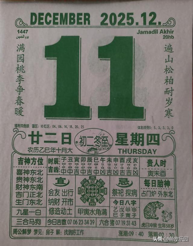 沈阳零下9度迎冬考，南方朋友雪景兴奋，我给出差贴心建议