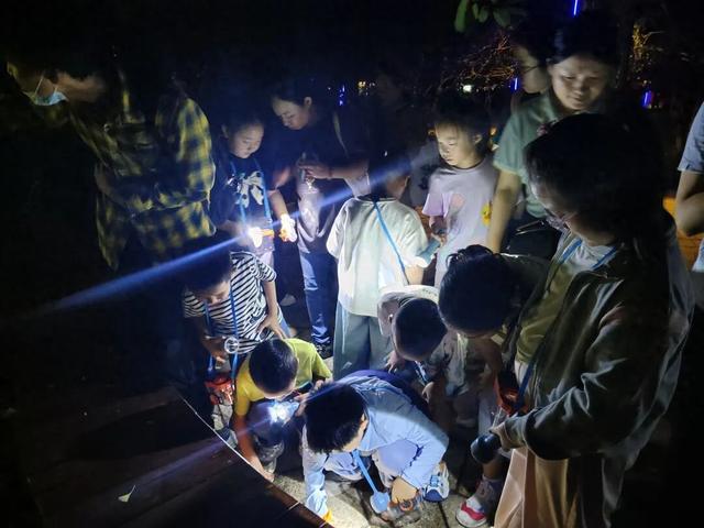 夜探蜀山寻生灵 皖美志愿伴童行