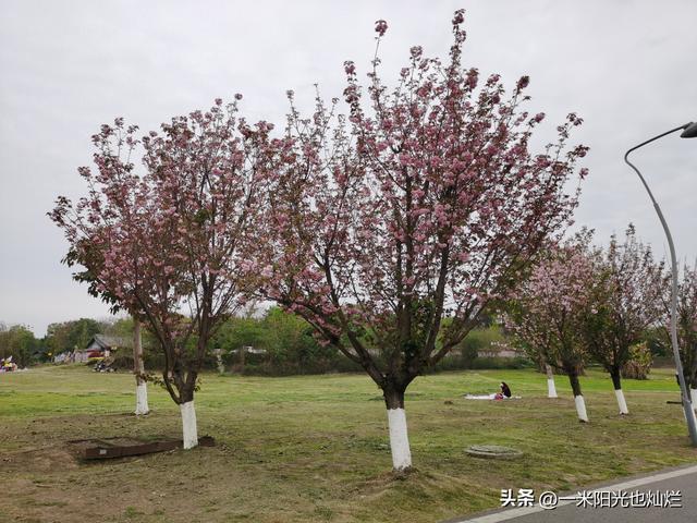 不负春光，让周末更有意义