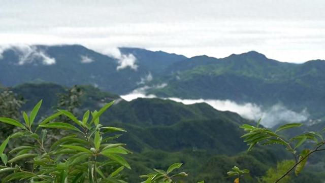 潜山市农文旅体商深度融合 开启秋季旅游新篇章