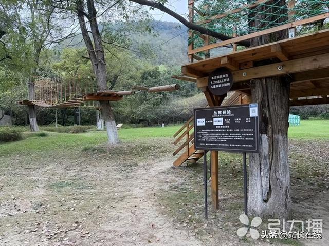 潮玩“白加黑” 来大阳山解锁秋日限定快乐