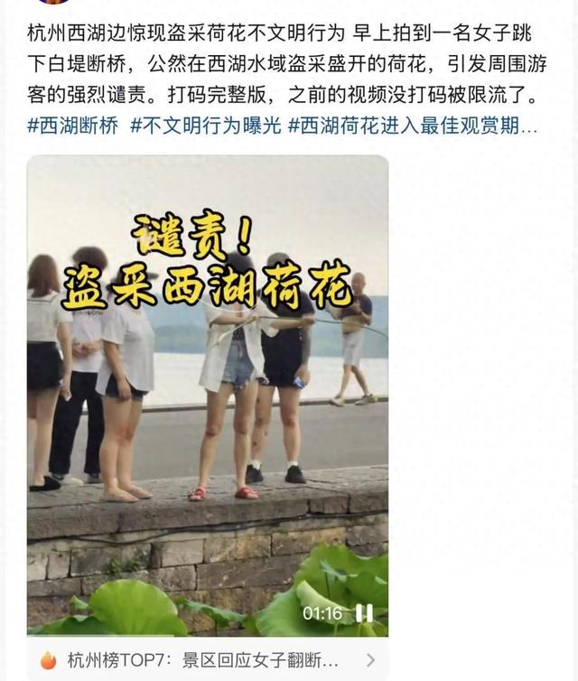 西湖断桥突发！有人跳下......刚刚景区回应！