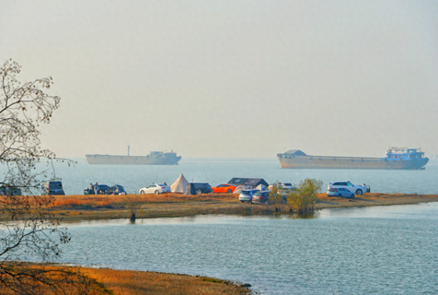 巢湖南岸天灯咀“安营扎寨”成冬日新景