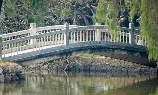 厦门未来强到可怕！一场前所未有的 “大动作”，会在今年正式启动