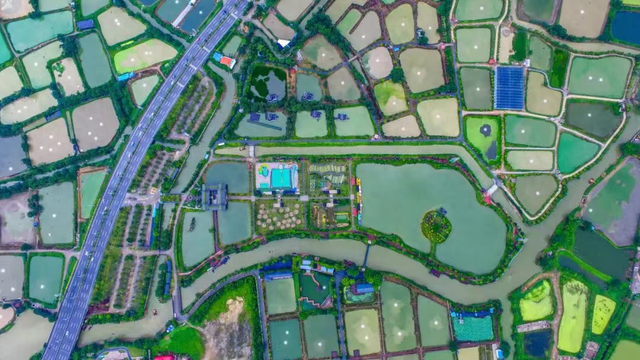 佛山免费的景点有哪些（佛山又一景点免费开放）