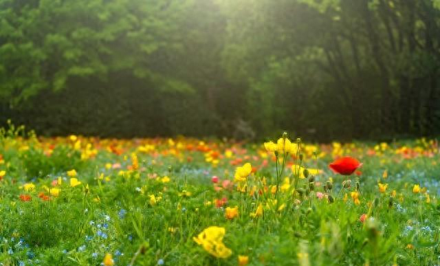 我今年56岁才顿悟	，男人没了女人就2个字，女人没了男人就4个字！