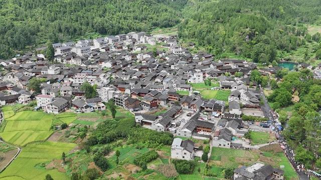 贵州铜仁：梵净山下“点绿成金” 生态旅游绘就“诗与远方”