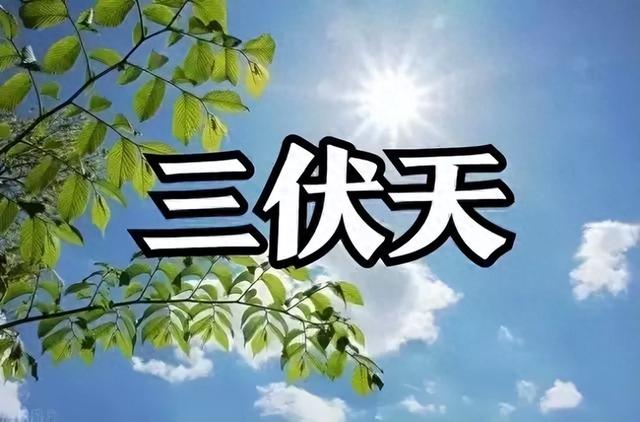 “秋老虎猛不猛，就看入伏”，今日入伏，今年立秋后还要热多久？