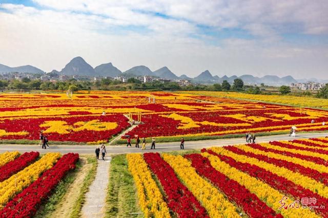 瑶乡花海 秋景迷人