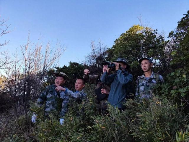 “探秘梵净山”系列主题讲解——我是护林员