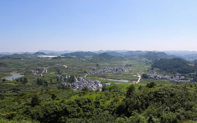 贵阳以“森林之笔”绘就城市生态长歌