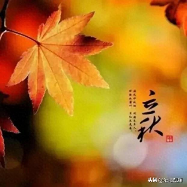 明日立秋，提醒大家：不管多忙，1不穿、2不睡、3不喝、4要吃