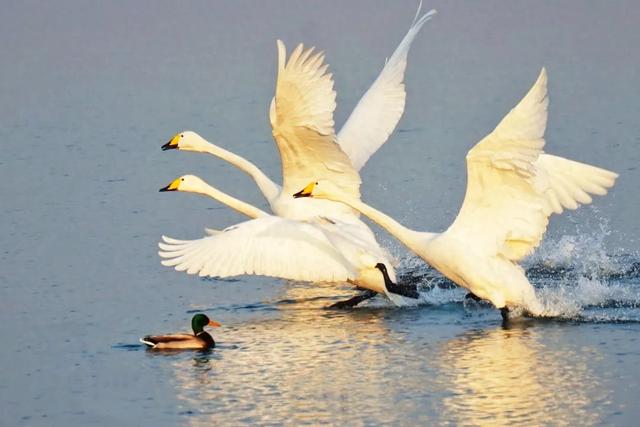 周末不忙，来趟朝阳