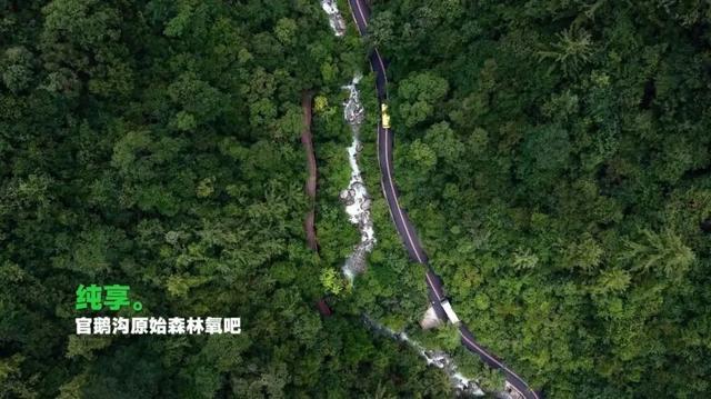 避暑胜地·康养宕昌｜官鹅沟爆氧！30000+负离子的“中国爱情谷”！
