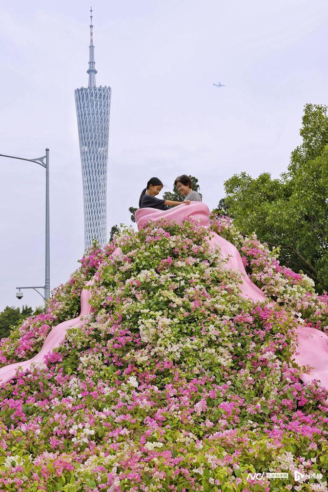 浪漫花城出大招！中轴线秒换全运限定皮肤，梦幻景观带上线