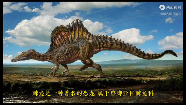 棘龙的外貌特征（科普棘龙的外形特征生活习性栖息环境以及与其他恐龙）