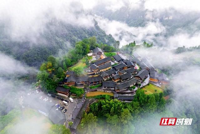 好评中国丨享山野之趣，守生态红线