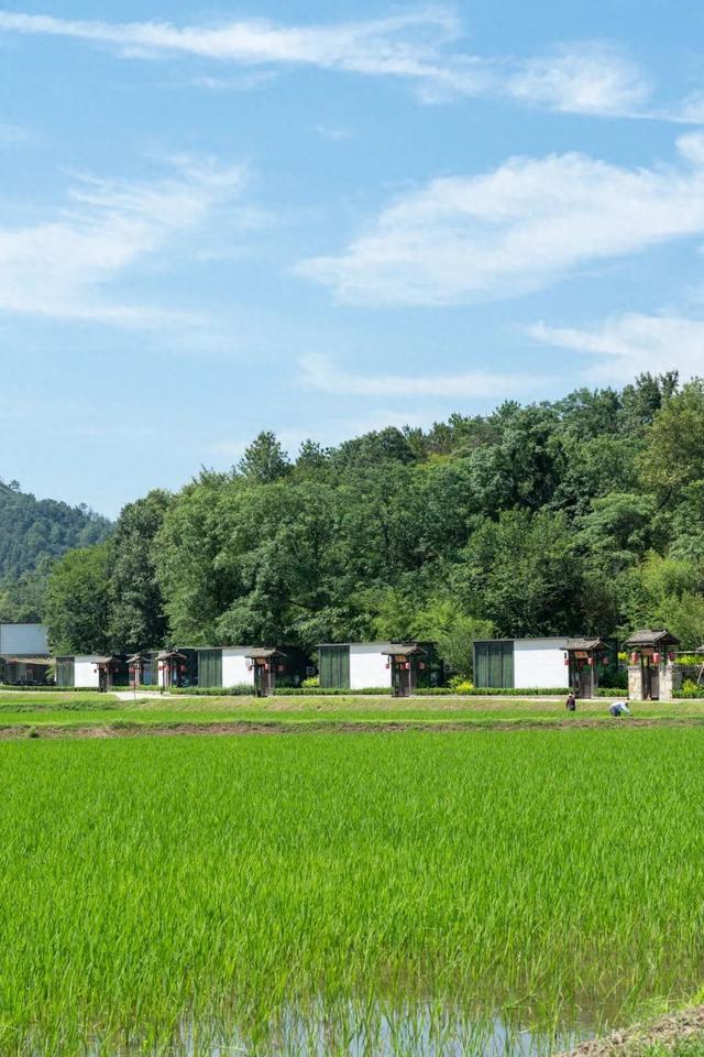 裕和夫子山：用私汤与稻浪，写一封山系情书