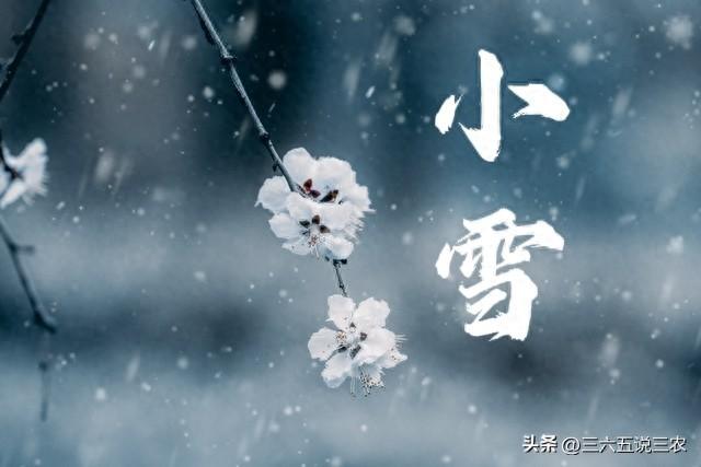 “上午小雪，雪堵门；下午小雪，穿单衣”，今年小雪在哪？早了解