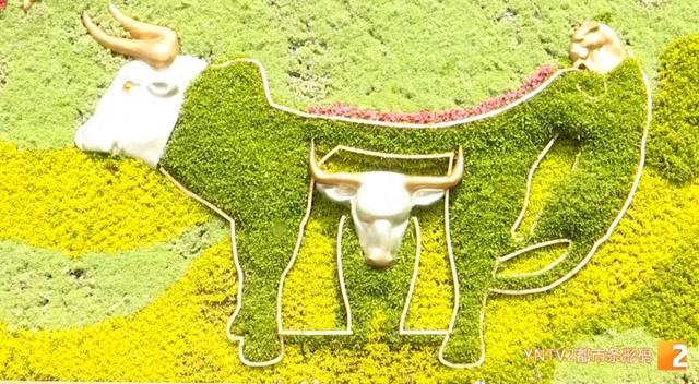 牛虎铜案‌、金马碧鸡‌“画”在墙上了！快来打卡昆明这个50米3D花墙