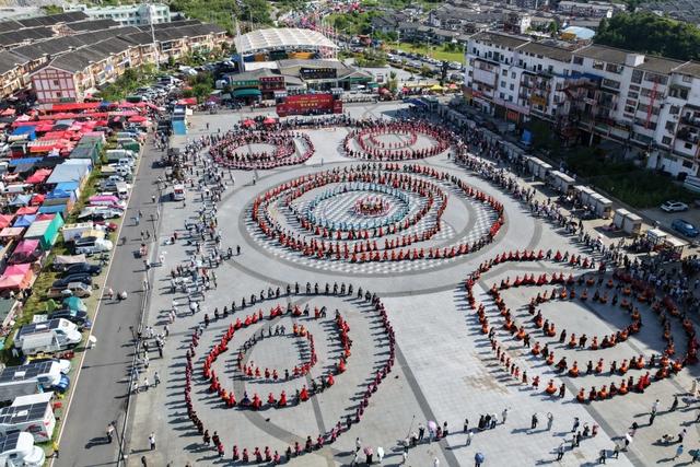 从“省花”提案到全域兴旺！百里杜鹃绘就旅游产业蓬勃发展“新图景”