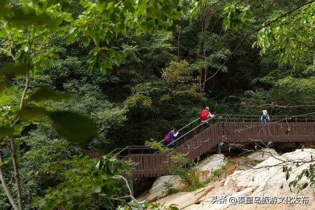 十一假期，秦皇岛祖山·山野艺术季，多种活动满足您的出游需求！