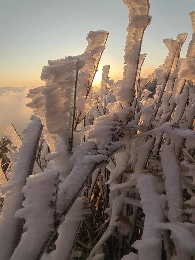 今年首场寒潮！计划前往这些地区的游客朋友们注意啦→