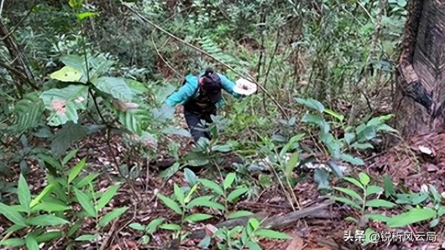 月薪5千也能“充电”：避开人潮的周末，比出国游更值