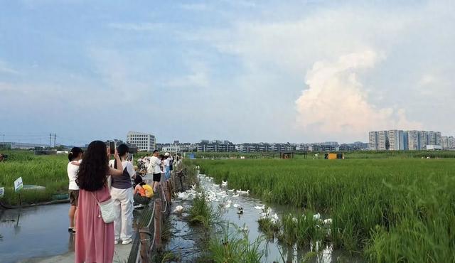 三元地铁口又火了！路人全在拍→