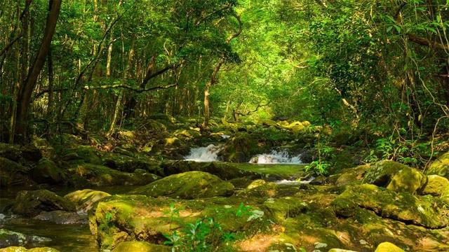 广西旅游攻略大赛 | 山海织就清凉境，分享攻略赢大奖！