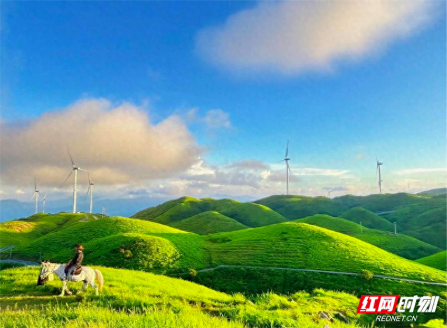 哲学里的郴州 | 五山凉凉 郴州“清凉密码”引爆夏日流量