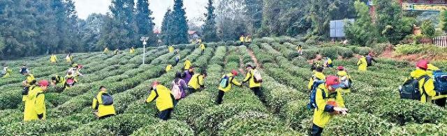 深化“文旅+”融合 首个秋假雅安很“火热”