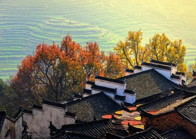 皖南赏秋：山水红叶与古村人文的视觉盛宴，避开人潮独享江南秘境