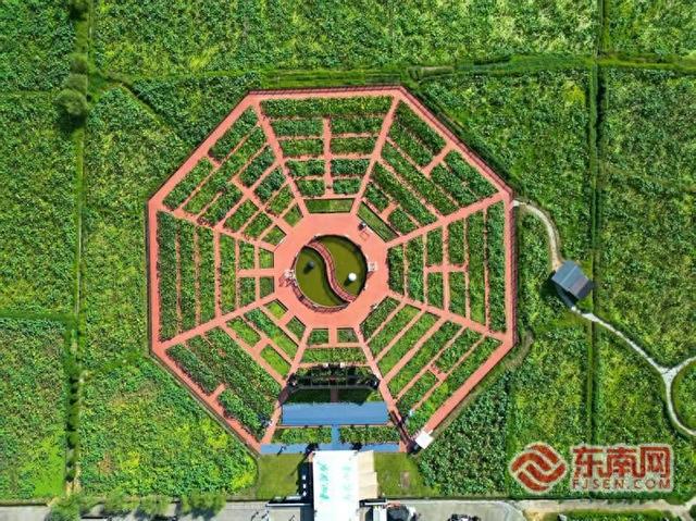 红色文化、生态资源、特色农产品……三明建宁这场直播超级吸睛