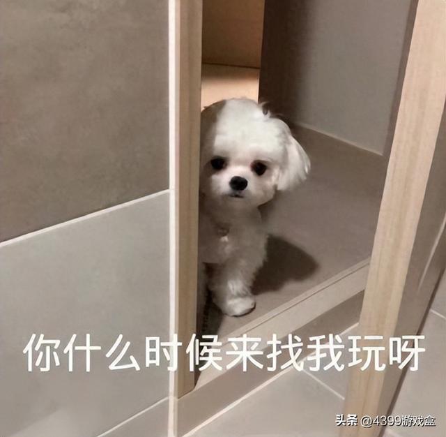 搞笑游戏名字三人开黑有哪些（快乐开黑组合哪家强小矮人还是POKE流）