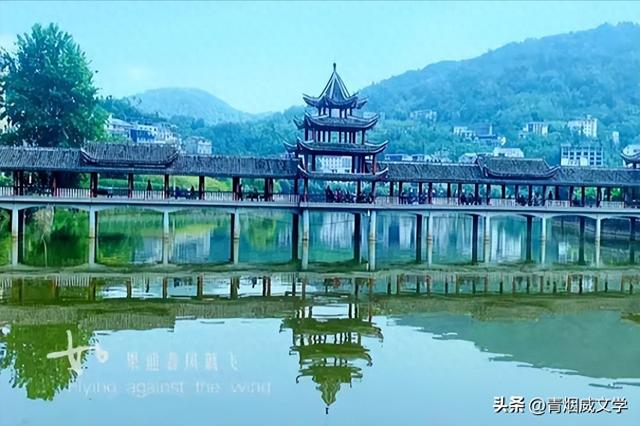 乙巳花坪避暑集锦