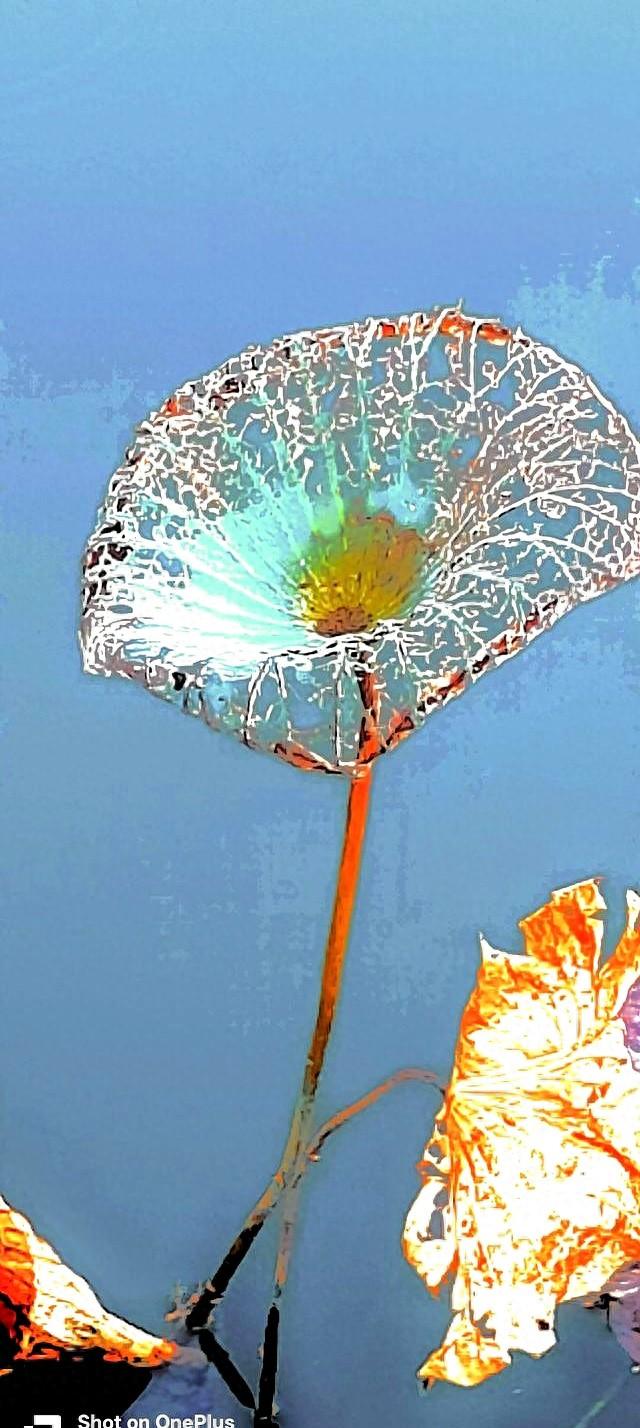 太极发劲不用硬拼！找准“腰隙	”总开关	，常练劲如潮涌