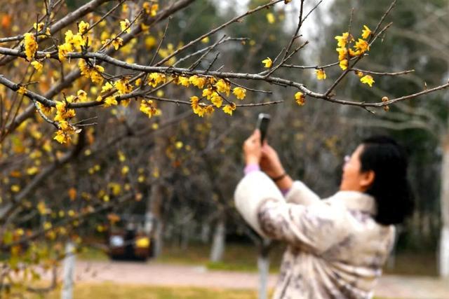 平顶山这份“冬日限定”美景上线！