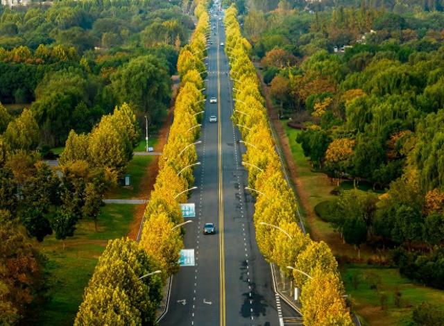 池州平天湖国家湿地公园景斑斓
