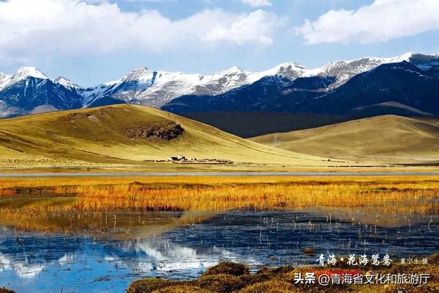 青海初冬:静谧藏诗意,温柔入画来