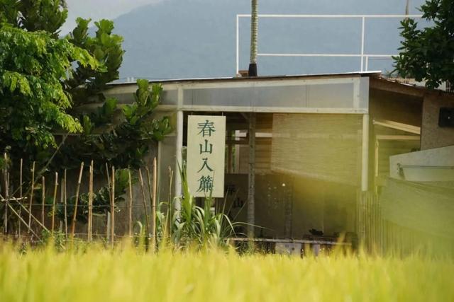 元旦游 | 来万宁,邂逅美丽乡村,开启新年第一场治愈之旅