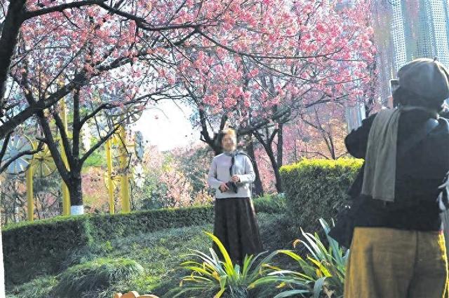 曲靖市融媒体中心出品