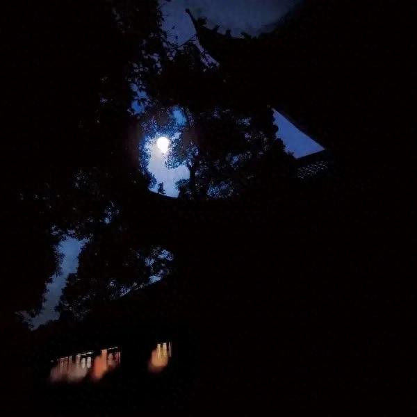 dnf仲夏之夜（仲夏之夜）
