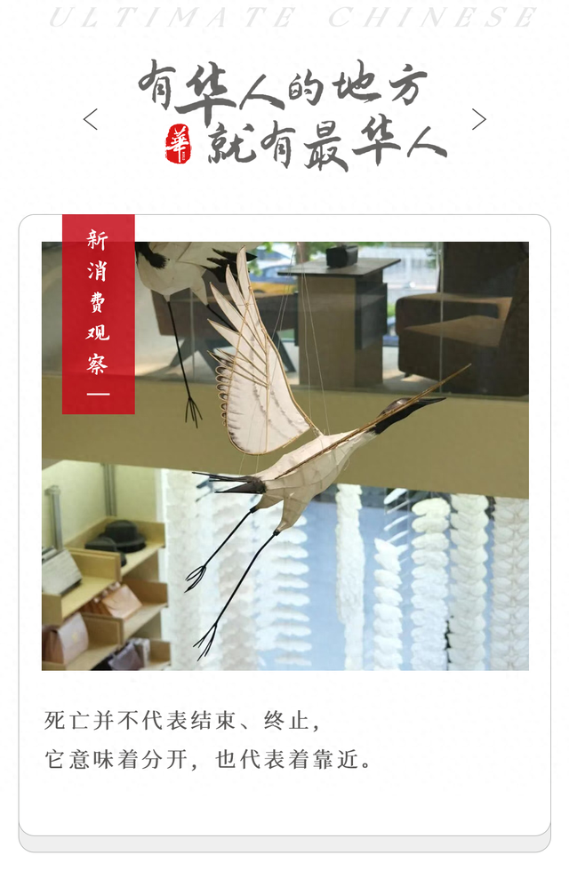 在三里屯逛殡葬店，买到了人生墓碑