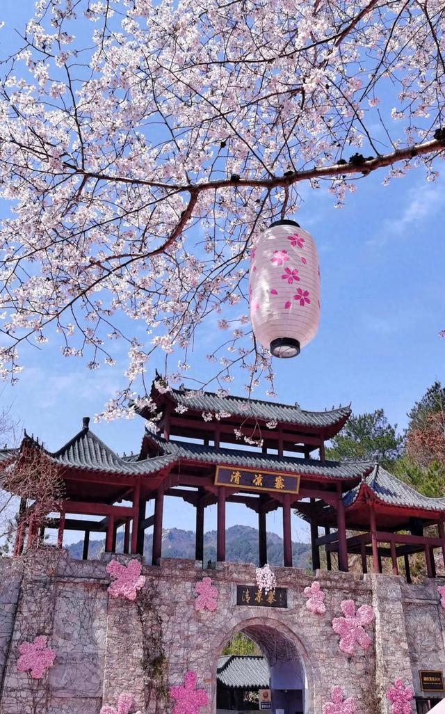 免票!专享优惠!黄陂多家景区官宣