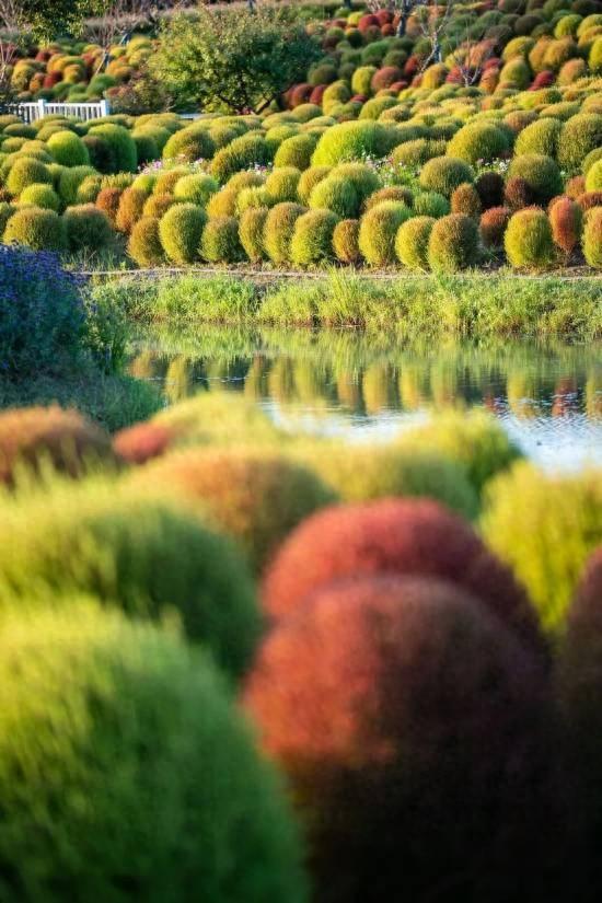公园免票、《繁花》终季首演 本周上海文旅指南