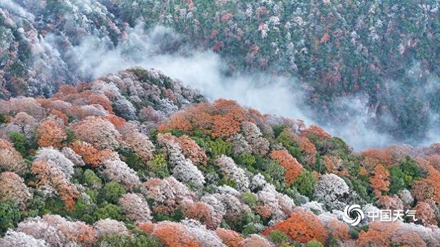 彩叶遇上白雪雾凇 解锁秋冬同框终极浪漫