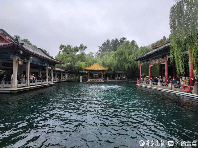 泉水撒欢！济南“泉水游”进入最佳观赏季