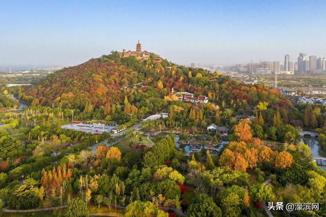 狼山景区赏秋正当时 金色银杏装点诗意山林