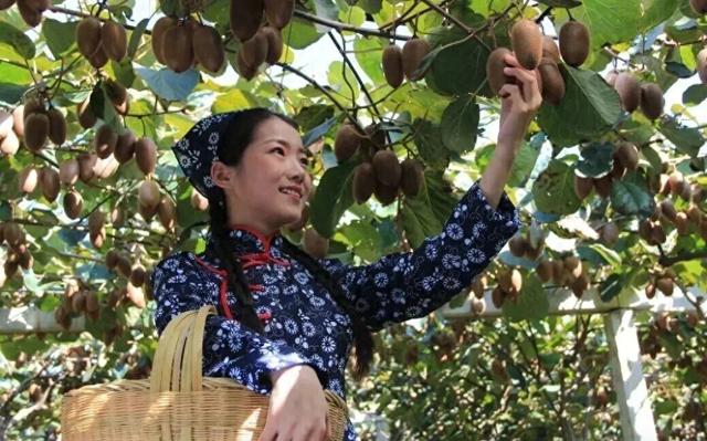 国庆短途游，西安周边精品路线全攻略！